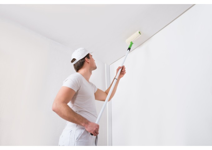 Peinture BR021 Y23 Latex Mate Intérieure Adam Materiaux murs et plafonds seau 5L