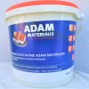 Peinture TO.MA010 Y66 Latex Satiné Intérieure Adam Materiaux murs et plafonds seau 5L