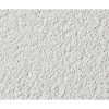 Crepis BAUMIT 1202 Y 83% Siliportop 1.5mm Seau 25kg